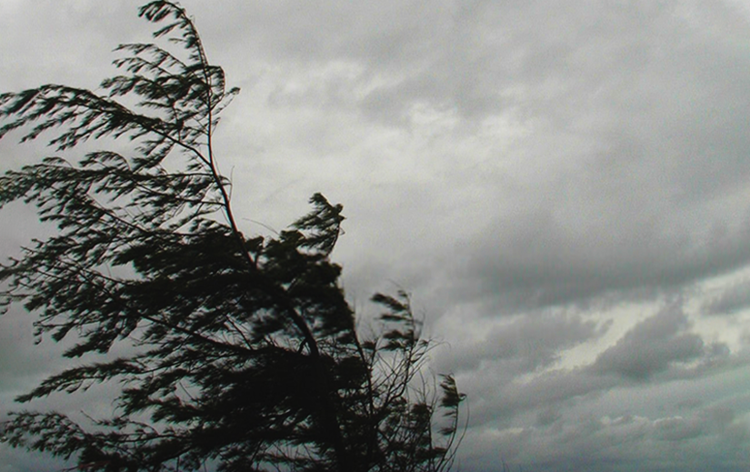На Хмельниччині можливі грози та шквальні пориви вітру