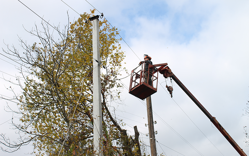 Бліцрепортаж 10.11.2025 р. Реконструкція ЛЕП на Летичівщині