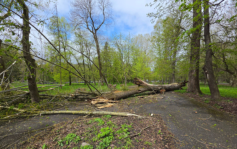 Увага: негода на території області!